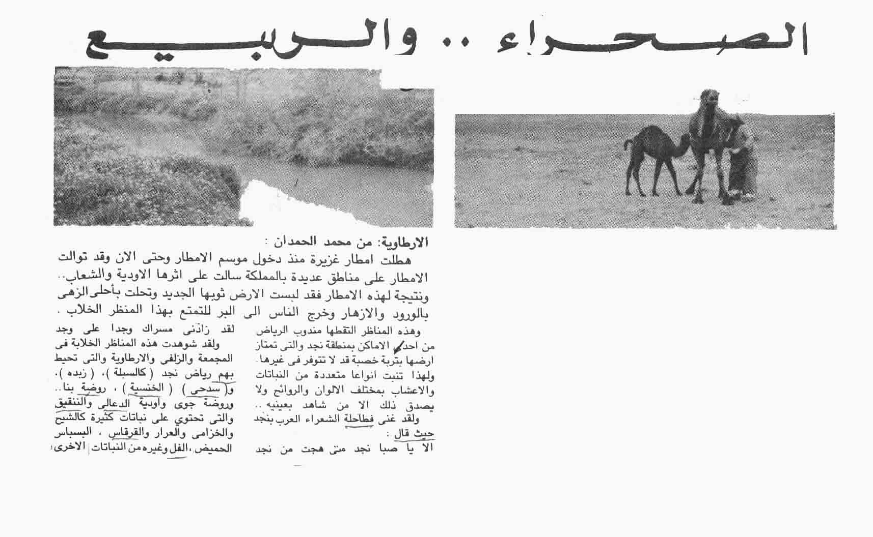 صورة الصفحة 1 من الصحراء ... و الربيع